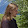 Marcus Harrison Marcus Harrison's profile photo