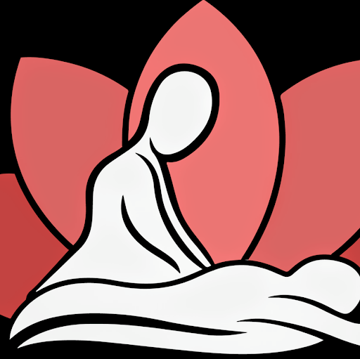 Team Wellness Massage Spa logo