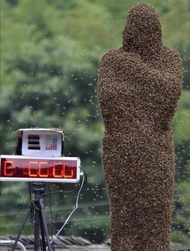 bee-wearing contest in china