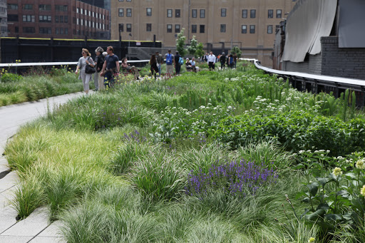 Friends of The High Line