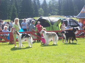 RENOMA RODU Polot - zakopane'11.jbob.jpg