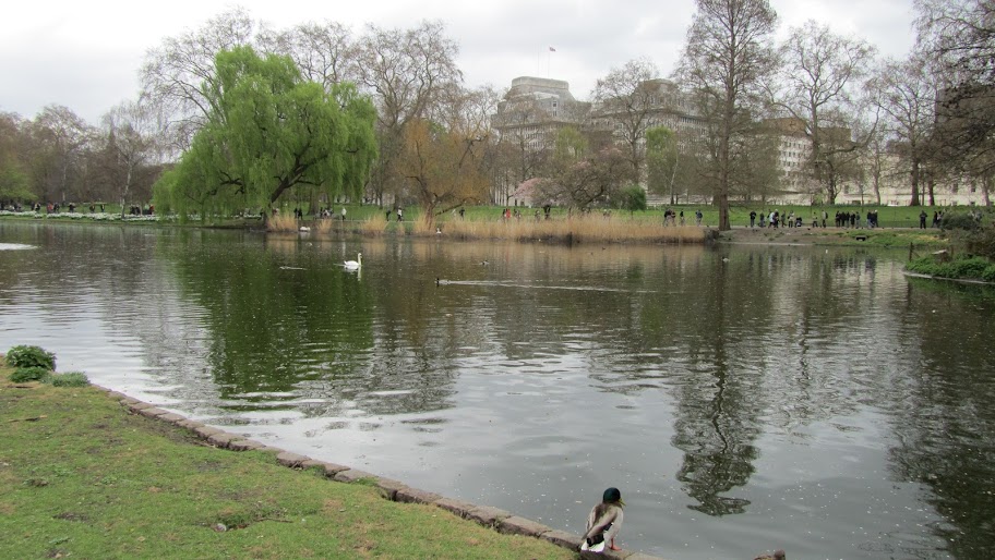 MSC Lirica: Bridge Cruise или укрощение строптивых