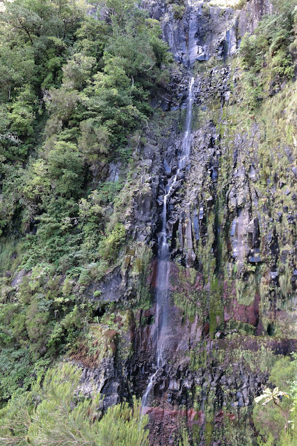 CÁMARA DE LOBOS, CABO GIRÃO, LEVADA DAS 25 FONTES Y RISCO - MADEIRA: JARDÍN BOTÁNICO CON VISTAS AL MAR (9)