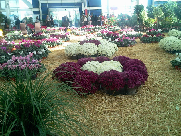 چهارمین نمایشگاه فصلی گل و گیاه تهران و جشنواره گلهای پائیزی