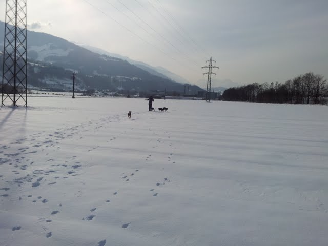 2012-02-04%252013.53.40.jpg