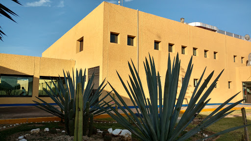 Hospital Regional De Alta Especialidad De Oaxaca, Avenida Aldama S/N, Centro, 71256 San Bartolo Coyotepec, Oax., México, Hospital | OAX