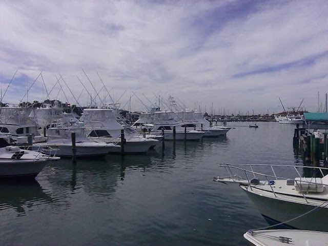 Virginia's On the Bay