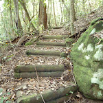 Timber steps north of Wollombi Brook Pool (364637)