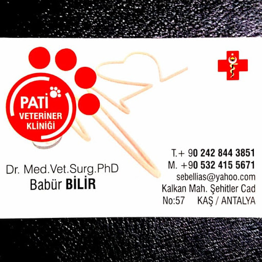 Pati Veteriner Kliniği KALKAN(2000--) logo