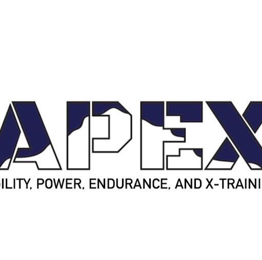 APEX Fitness logo