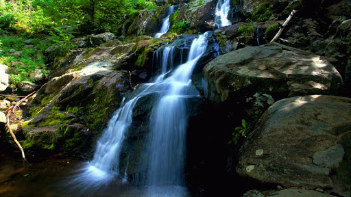 Dark Hollow Falls, Virginia.jpg