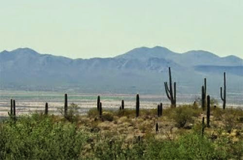 Arizona Identifies 14 000 Acres For Renewable Energy Project