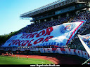 TORCIDA UNIFORMIZADA TERROR TRICOLOR