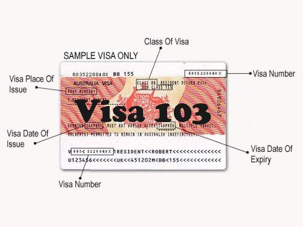 Visa 103 