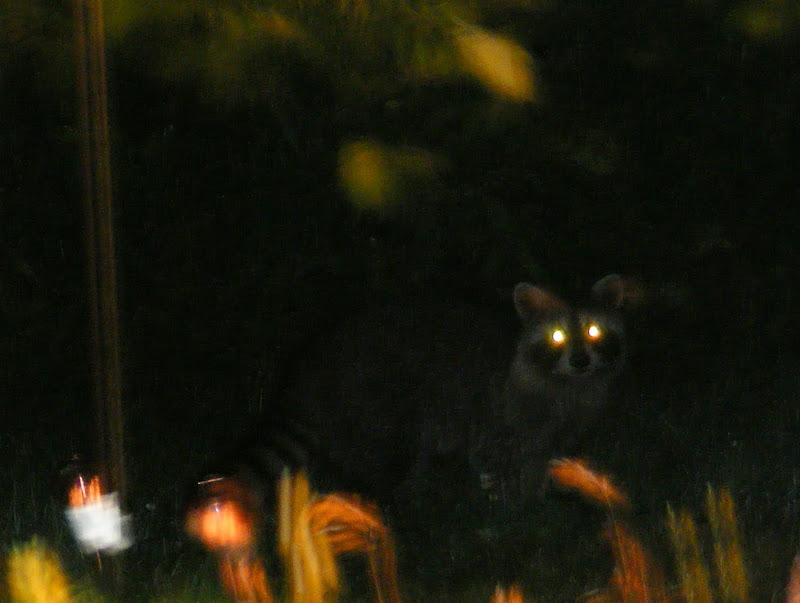 DSCF2899.JPG