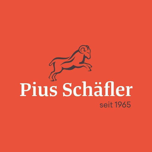 Pius Schäfler AG ehem. Witzig logo