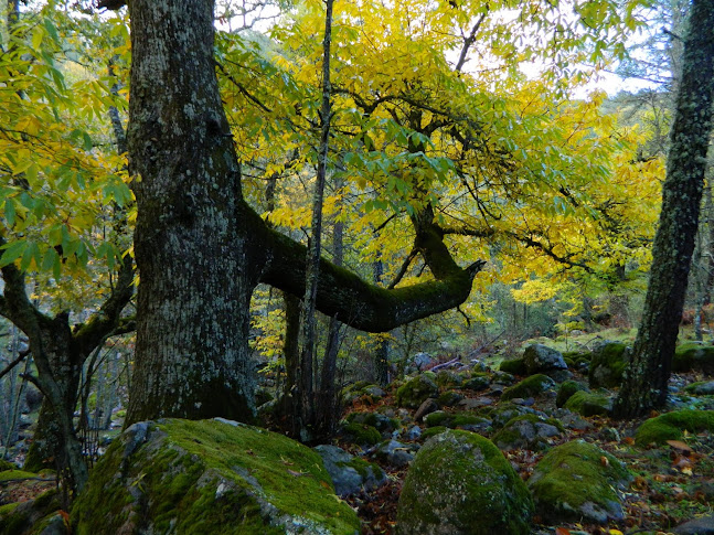 9%2C10+Y+11+DE+NOVIEMBRE+2012.++2%C2%BA+WEBCAMPADA+VALLE+DE+IRUELAS.+093.jpg