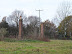 Two chimneys at East Carleton