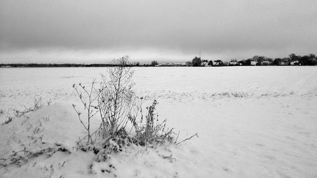 Cover photo