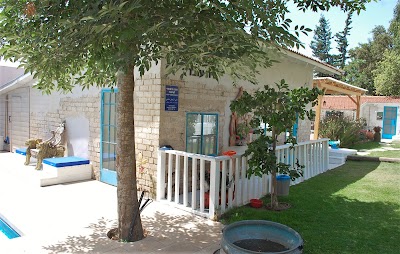 Photos of לילות בראשית