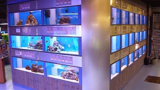 Aquajardin