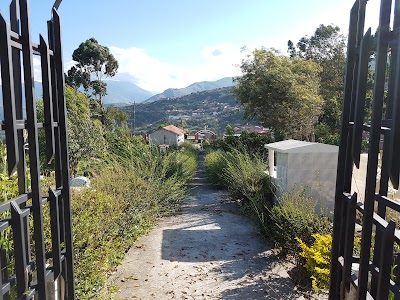Photos of Chillamani