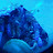 Jason Hobbs avatar image