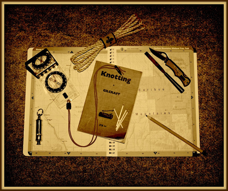 Comment Image