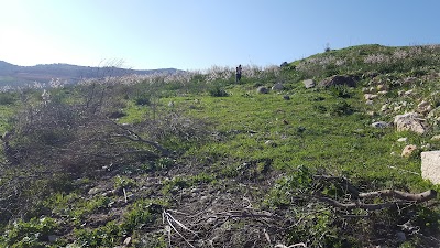 Photos of Tel Avel Beit Ma'akha