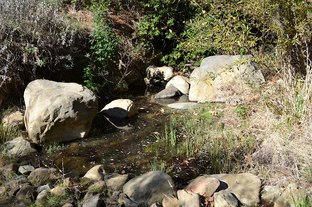 stagnant water along the route