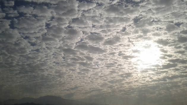 Cover photo