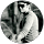 NAHiD PARVEZ
