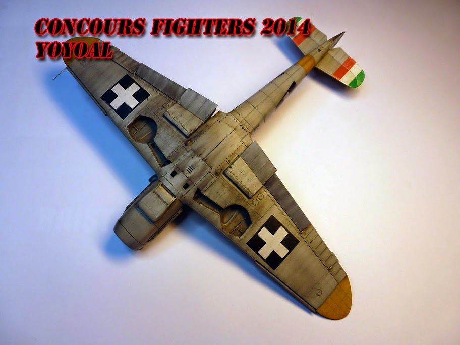 [ Concours avions allemands WWII ] - Me-109 G6 au 1/48° de chez Eduard - Page 3 P1060395%2520copie