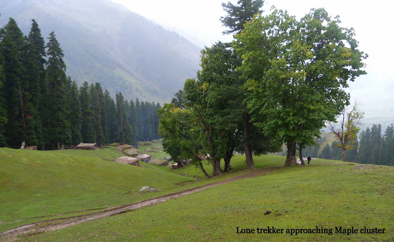 Kashmir great lakes trek