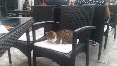 Photos of Vila Panonija