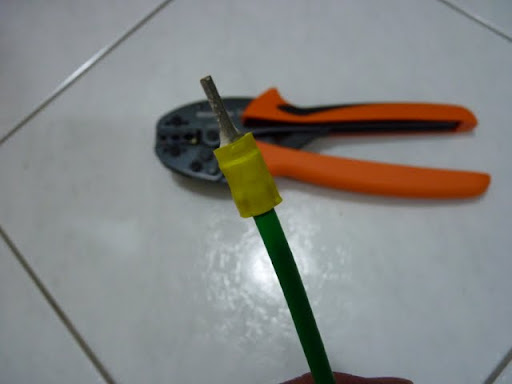P1010005.JPG