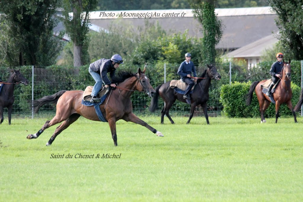 Saint du Chênet : l'heure de la retraite IMG_2748