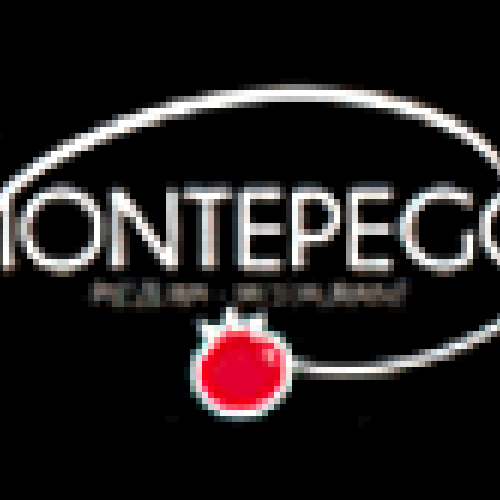 Le Montepego logo