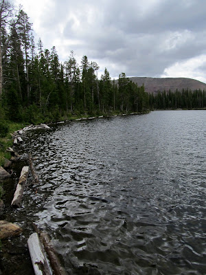 Betsy Lake