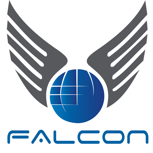 Falcon India, 84, 1st Floor, No.-2, Ganpati Complex, Main Basant Kunj Road, Mahipalpur, New Delhi, Delhi 110037, India, Shipping_and_postal_service, state UP