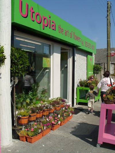 Photos of Utopia Flowers