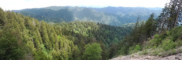 Cover photo