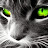 John Doe avatar image