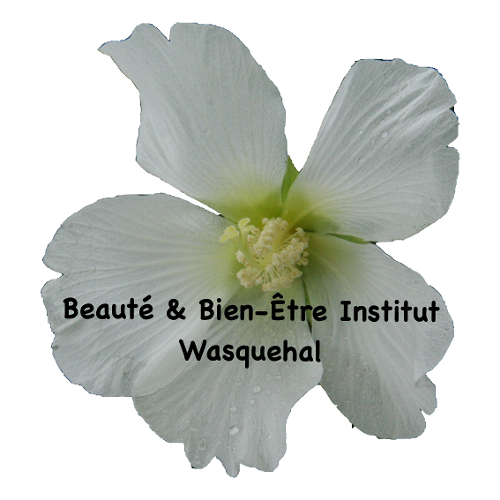 Beauté & Bien-Etre Institut logo