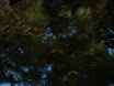 DSC03450.JPG