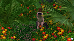 The Sims 3 Райские острова. Sims3exotischeiland-preview420