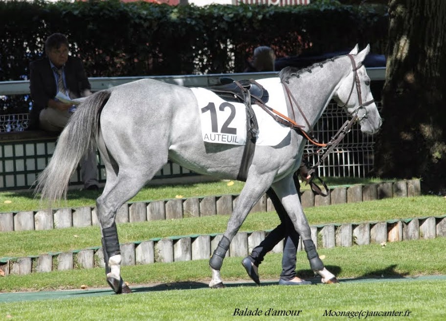 Photos Auteuil le 27-09-2014 IMG_4184