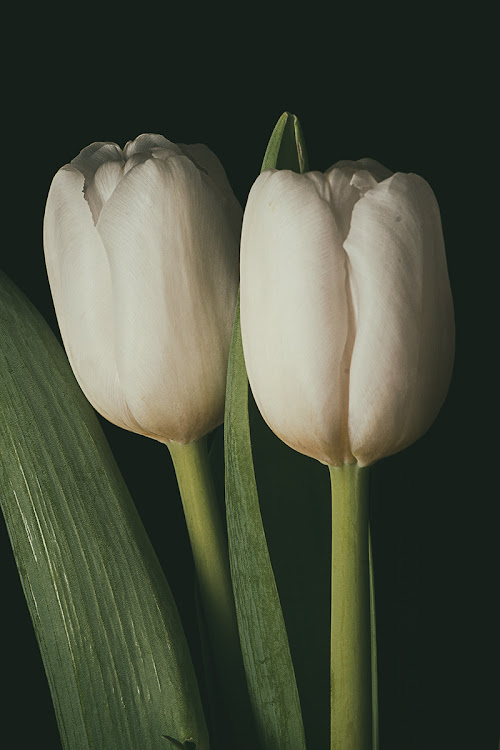 posted image
