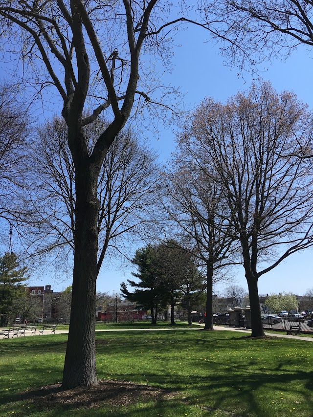Lincoln Park