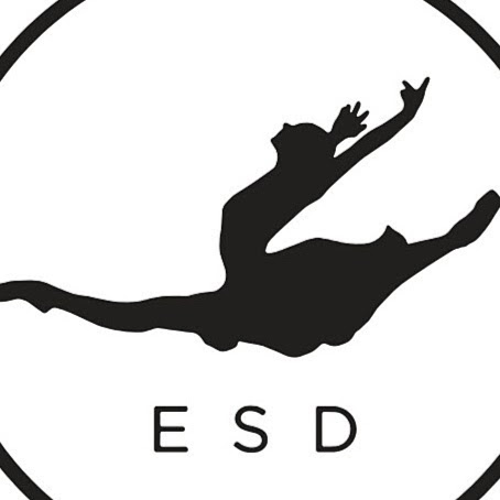 Eleve School Of Dance logo